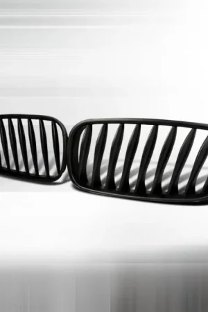 BMW Z4 Spec-D Front Hood Grille - Black - HG-E8909BB Limited Time