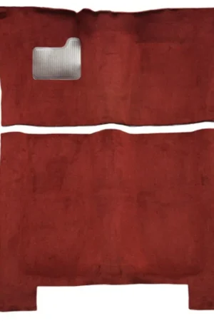 Must Have Carpet for 1971-1973 Buick Electra 2DR Loop