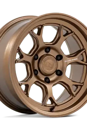 ETOSHA 17X8.5 6X120 66 -10 M-BRNZ Free Returns