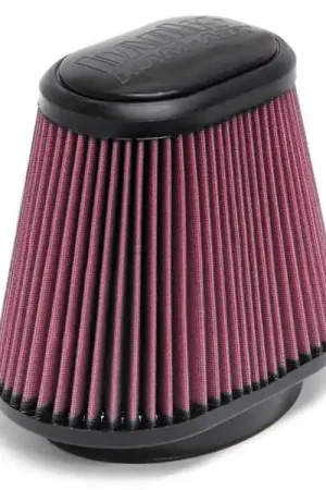 Hot Picks Banks Power 03-08 Ford 5.4 & 6.0L Ram Air System Air Filter Element