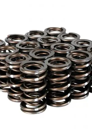 Limited Time Skunk2 Pro Series Honda/Acura B-Series VTEC XP Valve Spring Set (Dual Springs)