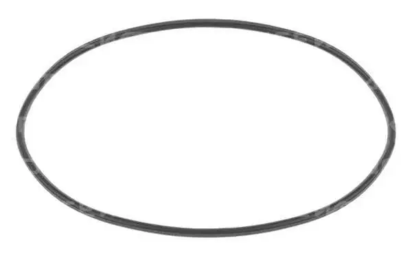 Top Pick Raceworks Replacement Top O-Ring for ALY-083/ALY-086