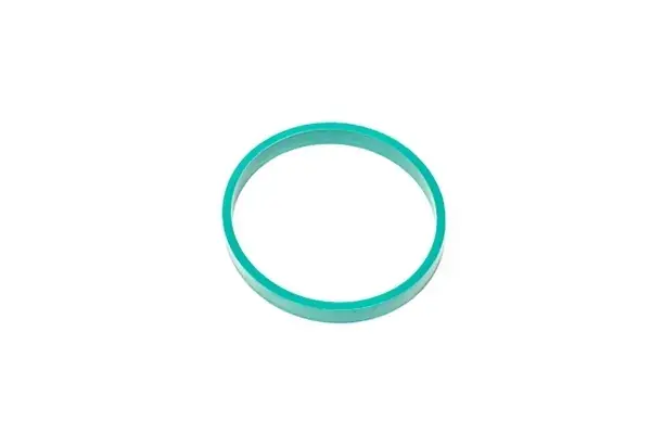 Radium Engineering Intake Manifold Gasket SINGLE (R8 42/Gallardo) Shop Now